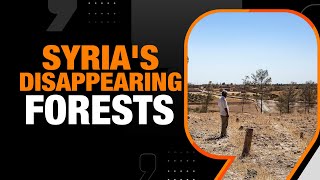 Syria | Illegal logging turns Syria's forests into Barren Land | News9