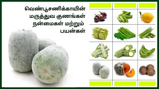 வெண்பூசணிக்காய்  | குடற்புண் (ம) அல்சரை குணமாக்கும் |Arun Prakash |Kovai |  Vegetable Clinic | VC003