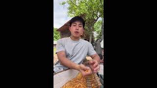 Immersive Corn Husking