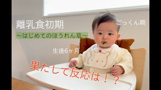 離乳食初期〜はじめてのほうれん草〜