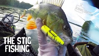 Crazy Perch Popper Fishing from a Float Tube | The Stig Fishing