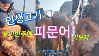 40킬로넘는 인생고기 잡아보자 2025 동해 피문어낚시 대왕문어낚시 시즌 1월 바다낚시 어종 2월 선상낚시 속초 양양 대선단배낚시 #문어낚시 #피문어낚시 #대왕문어낚시