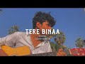 Tere Binaa (Cover) | Heropanti | Abhi Mishra