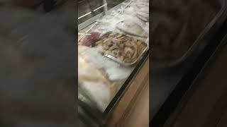 Tirupur  1St Fish Showroom 🐟🐟🐟 | Tirupur Can Can | Can Can Tirupur | Tirupur Fresh Fish Shop