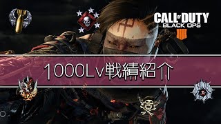 孤高のソロによる1000Lv戦績紹介＆カスタムクラス紹介【COD:BO4】