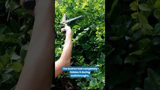 Hidden Risks Can Make or Break Your Profit