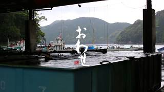 【定点動画29】九鬼町の魚市場