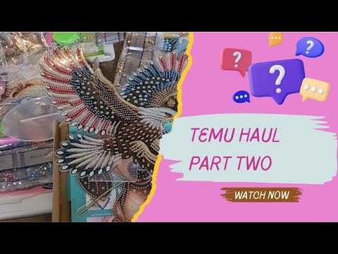 Temu Haul Part Two Youtube