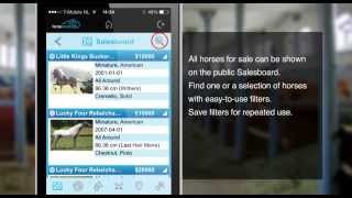Horsecount App - Salesboard mobile