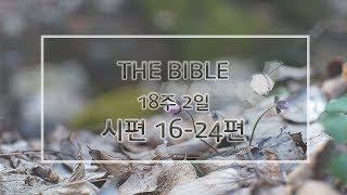 THE BIBLE 성경낭독 18주_2일