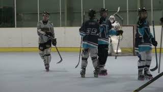 MHL48th 2023 12/17 Women Gold Division  Team SONIC vs WeLLs  5-1