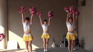 2013.8.28 SoftBank Hawks Honeys