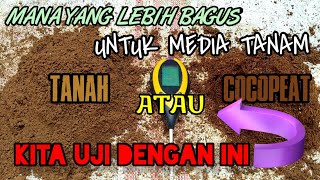 Cara Cek PH Media Tanam