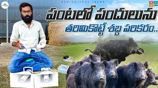 Wild Pig Control With Laser Sound System | Wild Pig Control In Agriculture | Shiva Agri Clinic