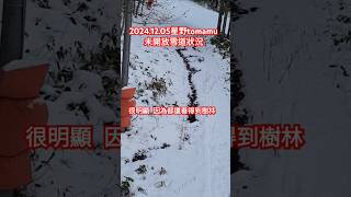 2024.12.05 北海道星野tomamu滑雪場 未開放雪道狀況  路徑都還看得到樹林 #星野トマム #スキー場