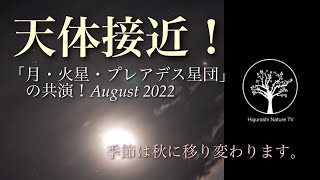 「天体接近！August 2022」月と火星とプレアデス星団の共演！