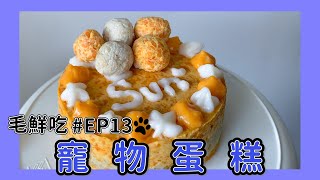 寵物鮮食【毛鮮吃】EP13｜寵物蛋糕