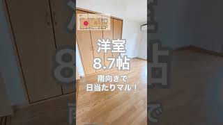 【日当たり心地良い安心オートロックの1DK】最上階角部屋で南向きの心地良い日当たりのお部屋☺️🌅オートロック付きで安心して過ごせます❣️#shorts #賃貸 #岡山 #ルームツアー #お部屋探し