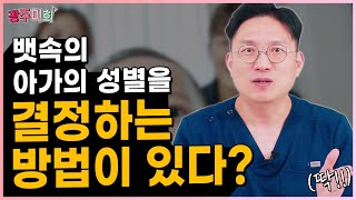 뱃속의 아가의 성별을 결정하는 방법이 있다?