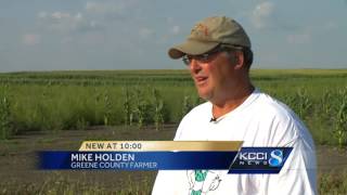 Too much, too little rain causing problems