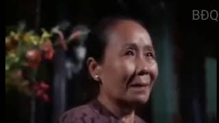 Mùa Xuân Của Mẹ - Chế Linh | Nhạc Tết VNCH Trước  1975