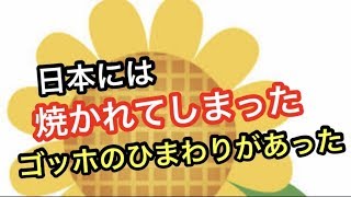 日本にはゴッホのひまわりがもう１作品あった！【雑学】