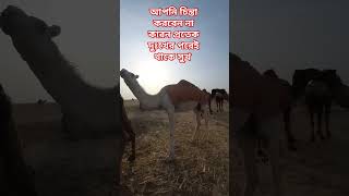 আপনি চিন্তা করবেন না কারন প্রত্যেক দুঃখের পরেই থাকে সুখ। #mizanur_rahman_azhari #shortsvideo