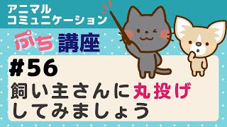 「アニマルコミュニケーションは全て把握してからでないと飼い主さんに伝えてはならない」と思い込んでいる方はぜひ見てください【アニメ】