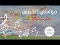 حواسي الخمس 