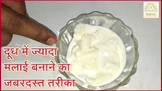 कम दूध में ज्यादा मात्रा में निकालें मलाई | Malai kaise banaye | Malai From milk | malai for ghee