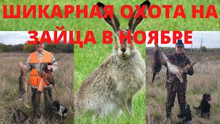 ОХОТА НА ЗАЙЦА. ШИКАРНАЯ ОХОТА..