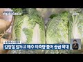 농림축산식품부 김장철 앞두고 배추 비축량 풀어 공급 확대 kbs 2021.10.28.