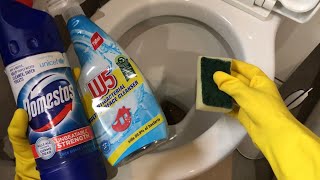 Cleaning toilet with sponge and anti-bacterial and domestos bleach ASMR