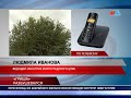 «ГРИША» РАЗБУШЕВАЛСЯ