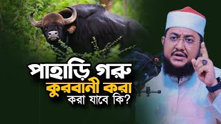 পাহাড়ি গয়াল গরু দিয়ে কুরবানী করা যাবে কিনা Sadikur Rahman Azhari Waz