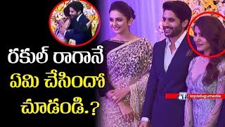 Rakul Preet Singh at Chay Sam Wedding Reception | Manchu Lakshmi | Rakul Preet | Top Telugu Media