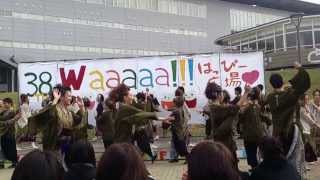 常磐 刈谷わんさか踊り　淑楓祭2013