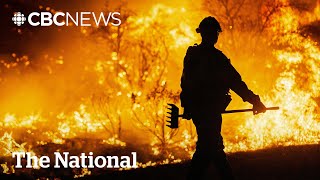 Human-fuelled climate change contributed to California wildfires, analysis suggests
