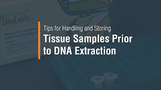 Tips for Handling and Storing Tissue Samples Prior to DNA Extraction