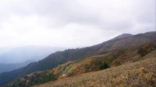 竜ヶ岳 遠足尾根より紅葉とクマザサの原（三重県いなべ市）/ パノラマ タイムラプス by April Cyclist