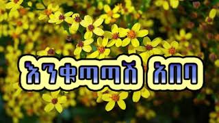 enkutatash abeba new year እንቁጣጣሽ አበባ