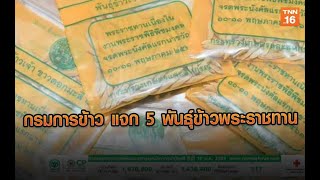 กรมการข้าว แจก 5 พันธุ์ข้าวพระราชทาน เนื่องในวันพืชมงคล l 11/05/63 l TNN ข่าวเที่ยง