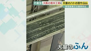 JAの精米工場がハトだらけ…至るところにフン　小学校給食にも出荷　保護者らが調査し発覚　大阪・枚方市【報道ランナー】