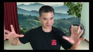 Robert Peng Qigong Q+A Live 2