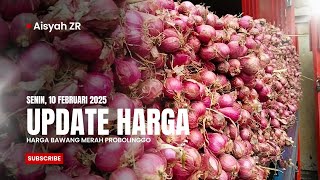 SENIN, 10 FEBRUARI 2025, UPDATE HARGA BAWANG MERAH HARI INI DIPASAR PROBOLINGGO