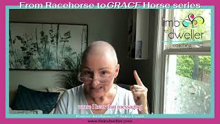 From Racehorse to Grace Horse Series