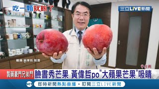 這芒果你見過嗎!?台南\