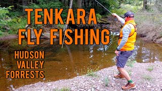 TENKARA FISHING for MOUNTAIN BROOK TROUT (Hunting for Fish!)