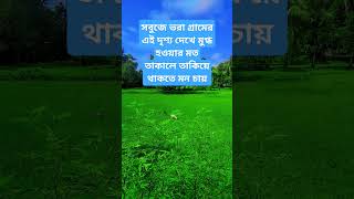 সবুজে ভরা এই গ্রাম দেখে মুগ্ধ হওয়ার মতন।#foryou #viral video