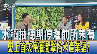 【少康開講】水稻抽穗期停灌前所未有 史上首次停灌衝擊稻米產業鏈?